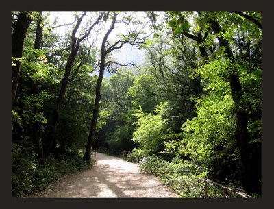 the path home